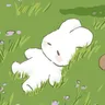 Profile picture of MKV